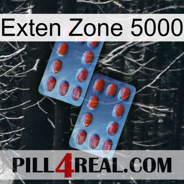 Exten Zone 5000 05.jpg